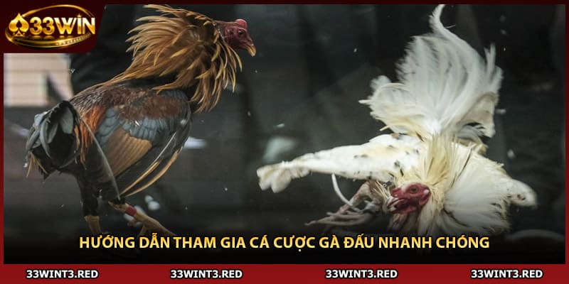Đá Gà Thomo - Đấu Trường Nóng Bỏng Cho Dân Sành 2 Hướng dẫn tham gia cá cược gà đấu nhanh chóng