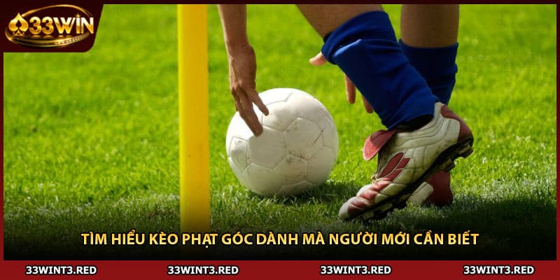 Kèo Phạt Góc - Bí Quyết Soi Kèo Chuẩn Xác Nhất 1 Tìm hiểu kèo phạt góc dành mà người mới cần biết
